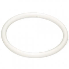 Filter O-Ring : 202545